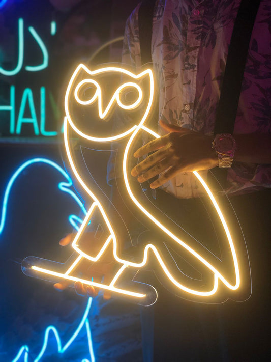 Pop Owl Neon Sign